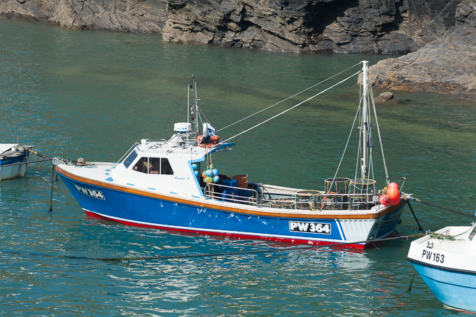 Port Isaac 2014 (18)